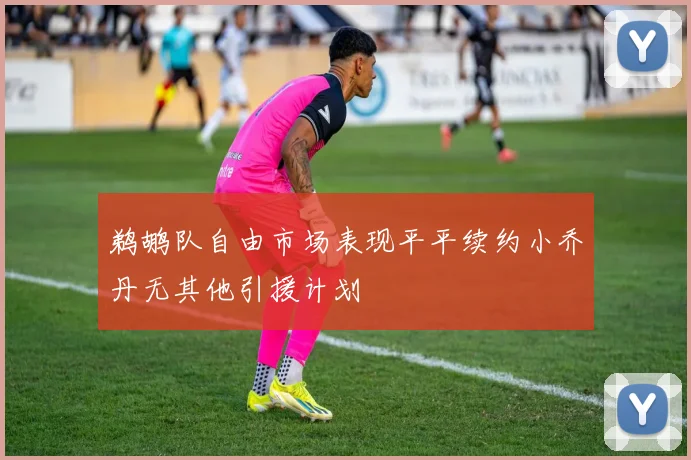 鹈鹕队自由市场表现平平续约小乔丹无其他引援计划